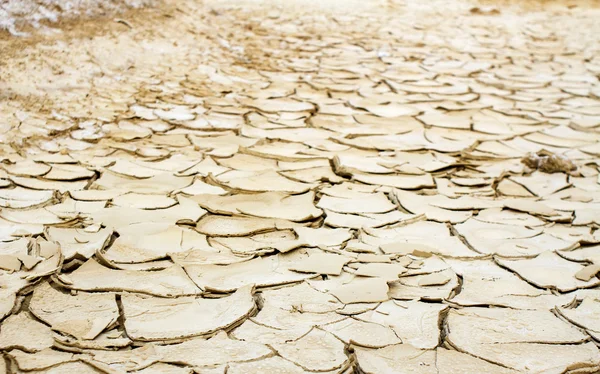 Photo of dry and cracked earth . — Stock Photo, Image