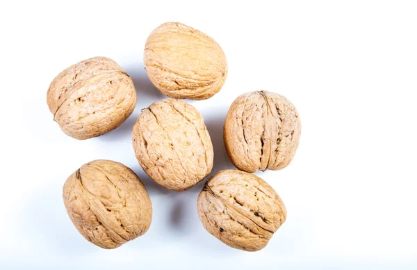 Walnuts on a white background . — Stock Photo, Image