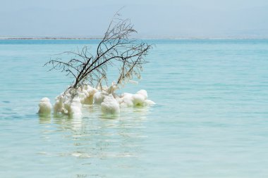 Ölü Deniz'in güzel sahil . 