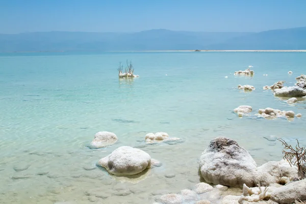 Beautiful coast of the Dead Sea . — Stock Photo, Image