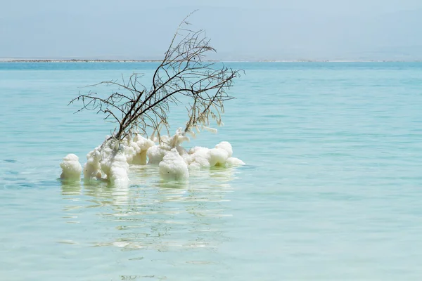 Beautiful coast of the Dead Sea . — Stock Photo, Image