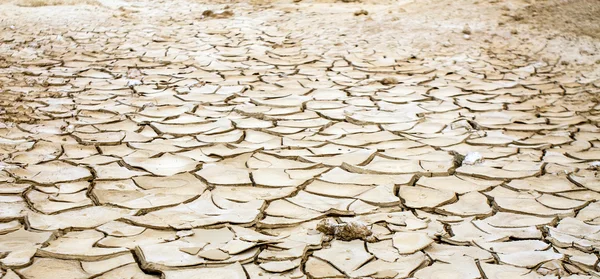 Photo of dry and cracked earth . — Stock Photo, Image