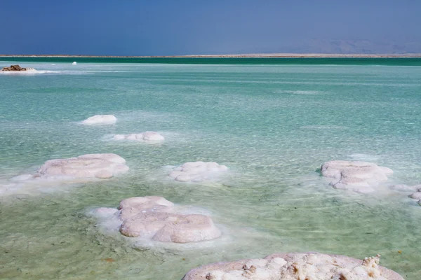 Ölü Deniz'in güzel sahil . — Stok fotoğraf