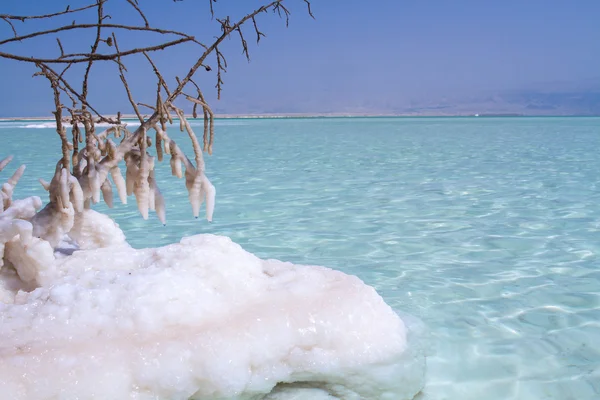 Bellissima costa del Mar Morto  . — Foto Stock