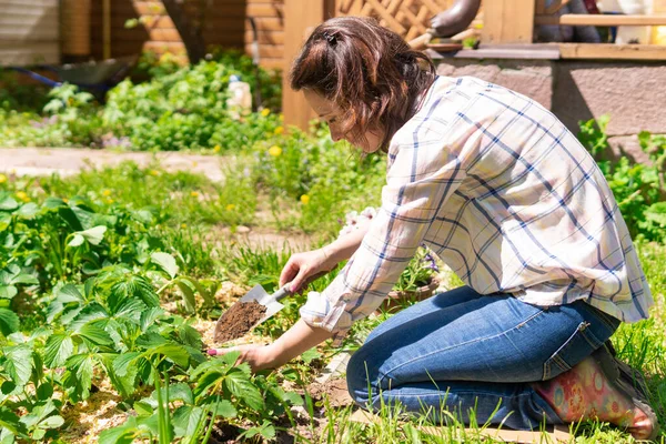 Pekebun Wanita Cantik Dengan Bunga Seorang Wanita Menanam Bibit Taman — Stok Foto