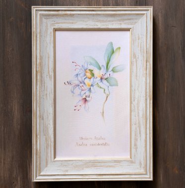 Şablon. Beyaz arka planda el çizimi batik ipek kelebekler ve çiçekler.