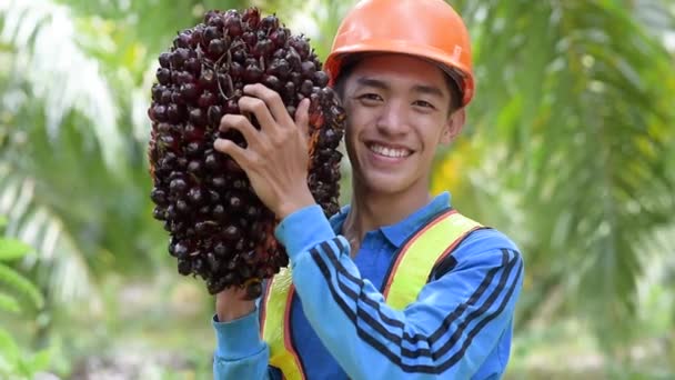 Fermier Asiatic Ulei Palmier Man Umăr Ulei Palmier Fructe Zâmbind — Videoclip de stoc