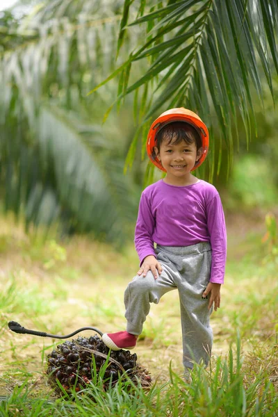 Palmiye yağı tarlasında kaskla gülümseyen sevimli Asyalı kızın portresi.