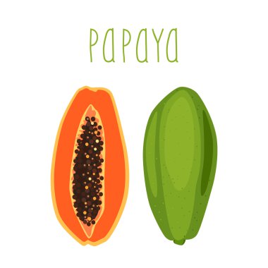 Parlak tropikal meyve - papaya