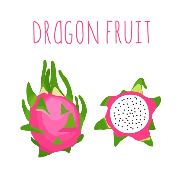 Vector hand drawn isolated dragon fruit with the inscription. — Stock Vector