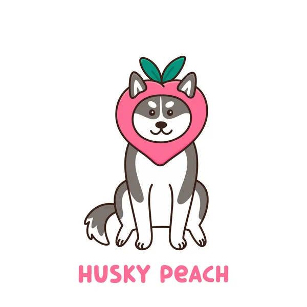 可爱的狗西伯利亚胡斯基在滑稽的服装水果桃 卡通Kawaii矢量插图 可用于贴纸 电话箱 T恤衫 杯子等设计 — 图库矢量图片