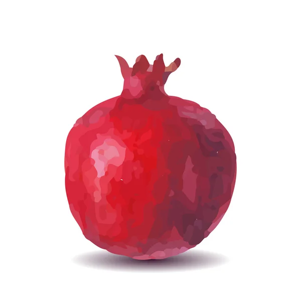 Fruits frais aquarelle grenade sur fond blanc — Image vectorielle