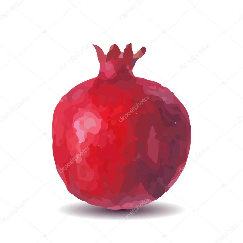 Fresh fruit watercolor pomegranate on a white background