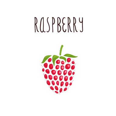 Vector hand drawn isolated raspberry with the inscription