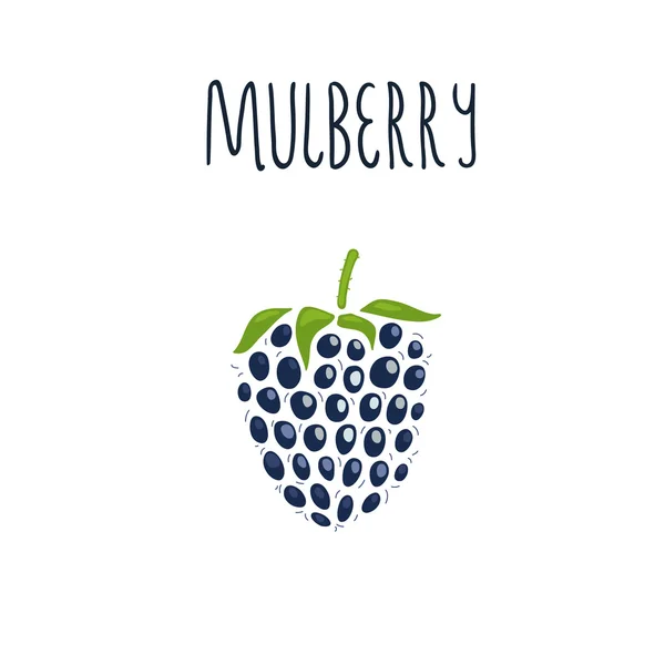 Vector hand drawn isolated mulberry with the inscription — Stok Vektör