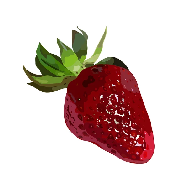 Fraise dans un style réaliste — Image vectorielle