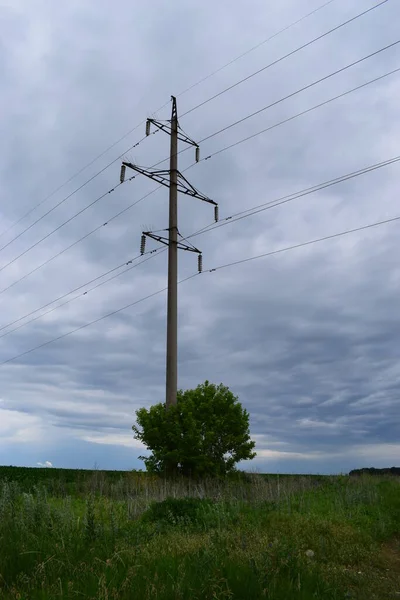 View of Electricity Pylons crossing along a green field. Electrical net of poles on blue cloudy sky and green meadow.