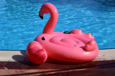 Güneşli bir günde havuzda şişme pembe flamingo..