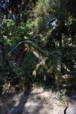 Kükreyen Baryonyx, arka plandaki orman parkında uzun otların üzerinde duran model dinozor heykeli. Türkiye 'de Dinopark, Goynuk. Tarih öncesi dinozor dişlek ağzını gösteriyor.
