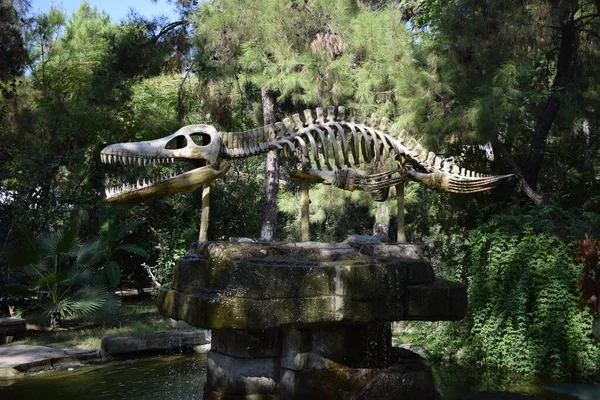 Dinozor, Ichthyosaurus 'un kafatasını arka planda orman parkında yok etti. Gerçekçi kemik modeli. Türkiye 'de Dinopark, Goynuk. Tarih öncesi dinozor çağı