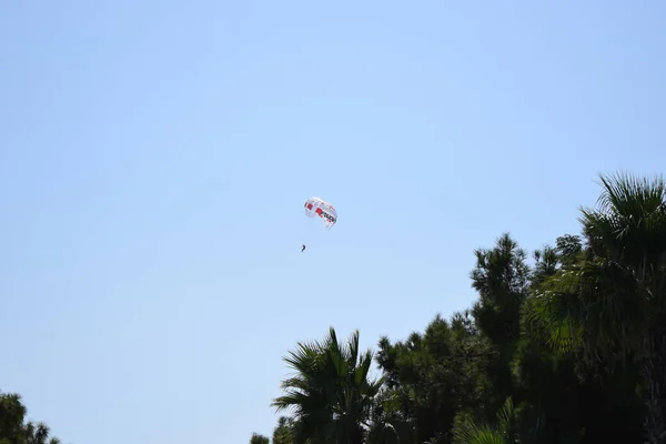 在海滩附近的蓝天中漫步 滑翔机在美丽的蓝天中飞得很高 跳伞者面对蓝天和树木的轮廓 — 图库照片