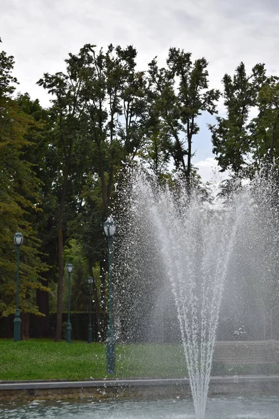 曇った夏の日に前景に水の噴水 公園の噴水 暑い夏の日 落葉樹や松の緑の植物と公園内の美しい噴水 — ストック写真
