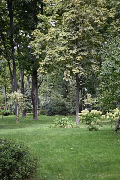 Jardim Tranquilo Belo Jardim Com Gramado Recém Cortado Panorama Paisagístico — Fotografia de Stock