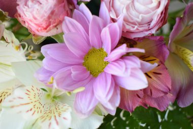 Floral background of various flowers: yellow peruvian lily (alstroemeria), pink, red and white daisies, gerberas, chrysanthemums. Bright multi-colored festive bouquet