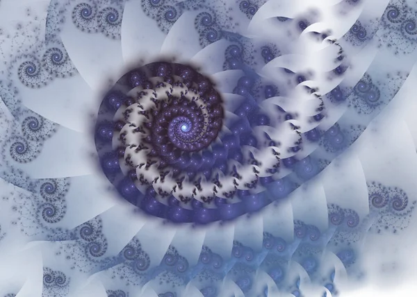 Güzel spirallerin ve renkli yaratıcı elementlerin fraktal sanat çizimi. Ayrıntıları tekrarlayan fraktal çizim sarmalı / girdabı. Albüm, poster, kitapçık için güzel bir arkaplan. Yaratıcı grafik tasarımı için fraktal dijital sanat.