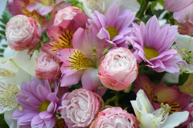 Çeşitli çiçeklerin çiçek arkaplanı: sarı Peru zambağı (alstroemeria), pembe, kırmızı ve beyaz papatyalar, gerberalar, kasımpatılar. Parlak renkli, renkli bir buket. Bir demet taze çiçek.
