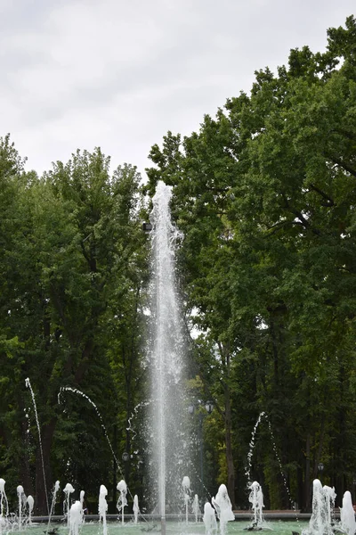 Wasserfontäne Vordergrund Einem Bewölkten Sommertag Brunnen Park Heißer Sommertag Schöner — Stockfoto