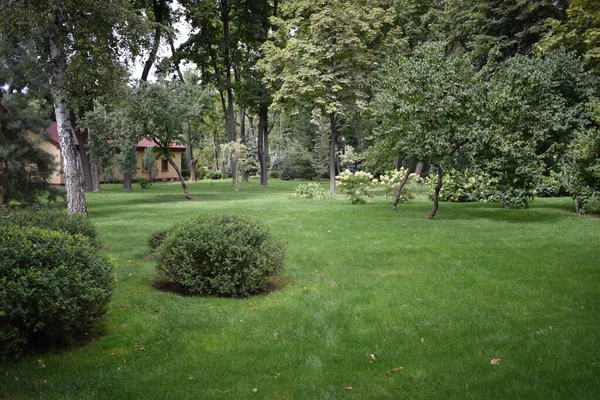 Vista Hermoso Jardín Verano Diseño Paisaje Con Césped Verde Brillante — Foto de Stock