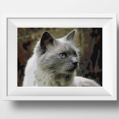 Mavi Gözlü Siyam Kedisi. Siyam kedisinin portresi. Çapraz dikiş nakışının resmi. Örülmüş tuval yapının taklidi. Çerçevelenmiş kumaş dekoru, çapraz dikiş, el işlemesi, dikiş.