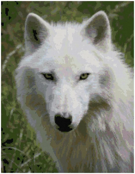 Portrait White Wolf Illustration Cross Stitch Embroidery Imitation Knitted Canvas — Stock Photo, Image