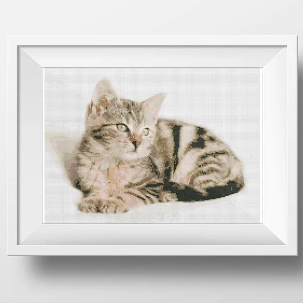 Cute Fluffy Kitten Illustration Cross Stitch Embroidery Imitation Knitted Canvas — Stock Photo, Image