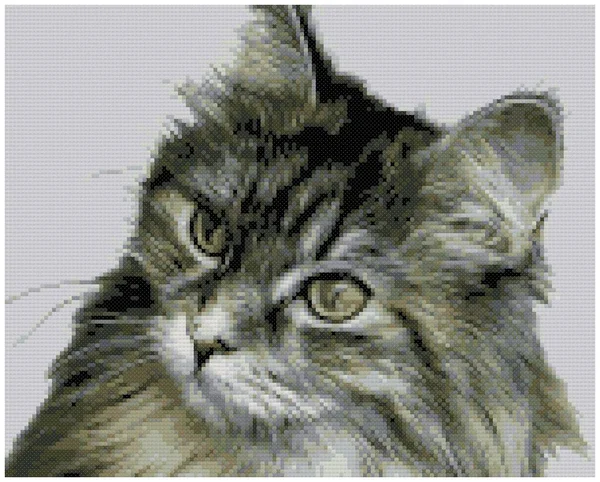 Портрет Серьезный Кот Зелеными Глазами Серый Полосатый Пушистый Кот Серьезным — стоковое фото