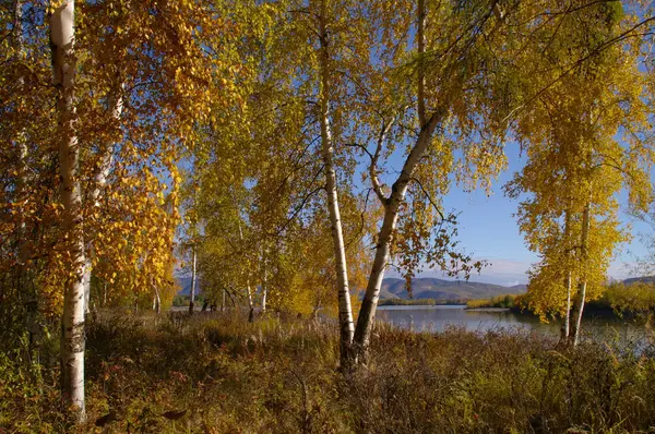 Bellissimo paesaggio naturale in autunno — Foto Stock
