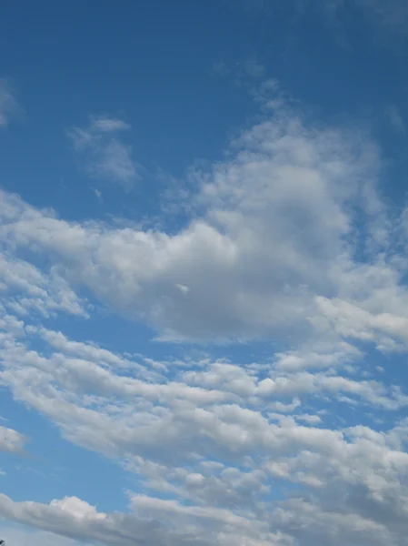 Nuvens brancas no céu azul — Fotografia de Stock