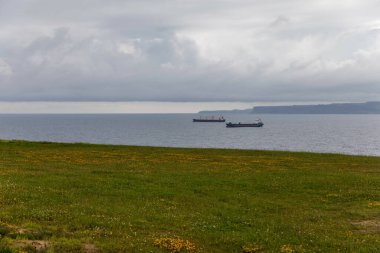 Experience tranquility with cargo ships on calm waters, a vibrant green meadow, and a cloudy sky. Evokes serenity, maritime transport, and the beauty of nature.