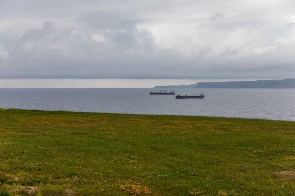 Experience tranquility with cargo ships on calm waters, a vibrant green meadow, and a cloudy sky. Evokes serenity, maritime transport, and the beauty of nature.