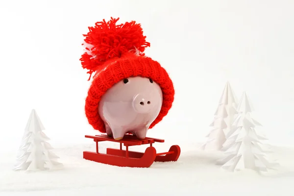 Piggy box with red hat with pompom standing on red sled on snow and around are snowbound trees - toboggan — Stock Photo, Image