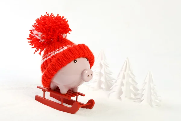 Piggy box with red hat with pompom standing on red sled on snow and around are snowbound trees - toboggan