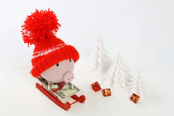 Piggy box with red hat with pompom standing on red sled with blanket from greenback hunderd dollars on snow and around are snowbound trees — Stock Photo, Image