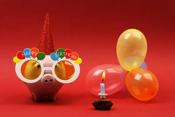 Prasátko s sluneční brýle všechno nejlepší k narozeninám, pařbu a vícebarevné nafukovacích balónků a narozeninový dort se svíčkou na červené pozadí vodorovný Royalty Free Stock Fotografie