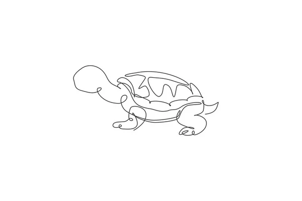 Uma Única Linha Desenho Tartaruga Grande Bonito Galápagos Ilha Ilustração — Vetor de Stock