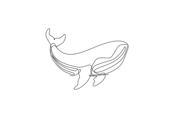 一只大蓝鲸的连续线条画 海洋中受到保护的哺乳动物物种 巨大的水下生物概念 动态单行绘图设计矢量图解 — 图库矢量图片