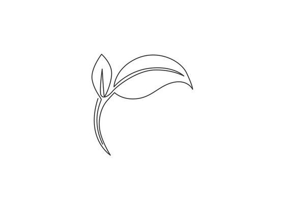 Green leaf. Continuous one line drawing of leaf tree minimalist vector illustration design on white background. Isolated simple line modern graphic style. Hand drawn graphic concept for spa logo
