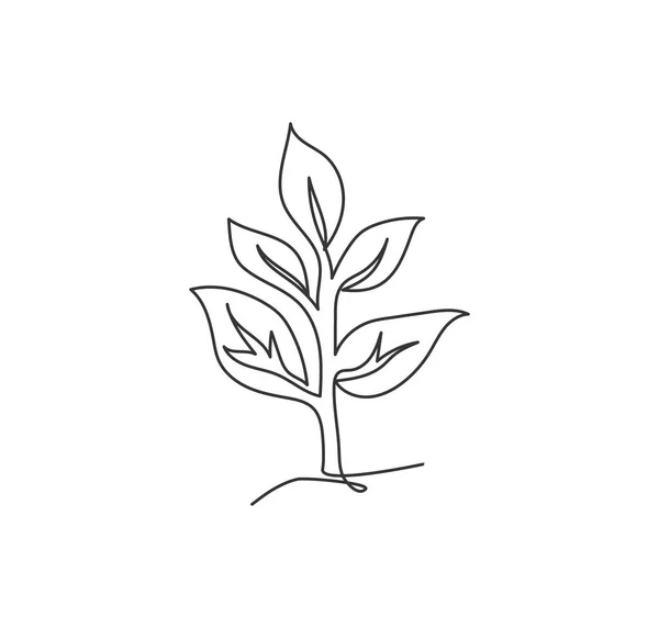 Desenho Linha Contínua Única Planta Orgânica Natural Verde Para Etiqueta — Vetor de Stock