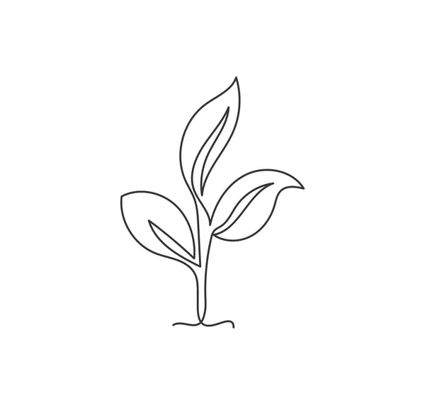 Una Sola Línea Dibujo Plantación Ecológica Verde Natural Para Identidad — Vector de stock