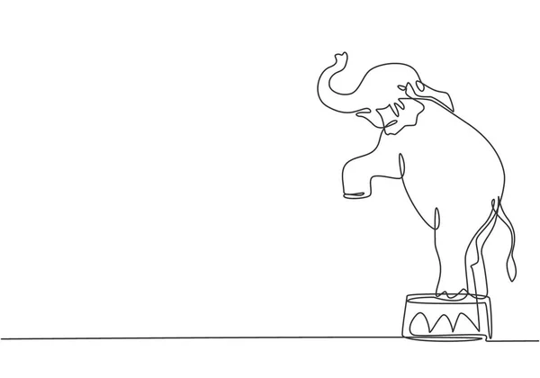 Jedna Čára Kresby Slona Stojí Cirkusovém Křesle Zdviženýma Předníma Nohama — Stockový vektor